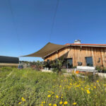 Sonnensegel-elektrisch-aufrollbar-Terrasse-4